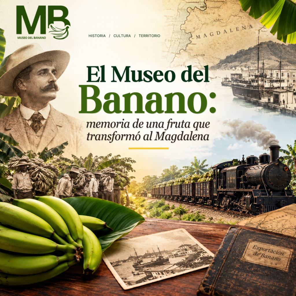 Memoria de una fruta que transformo el magdalena